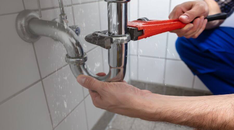 Professional Leak Detection services in Bear Branch, KY